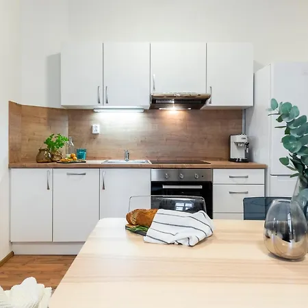 Newly Designed Flats In Brno! Brno