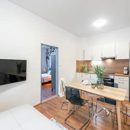 Newly Designed Flats In Brno! * Brno
